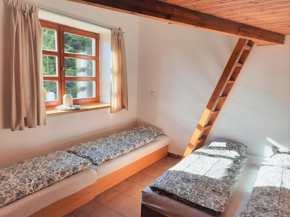 Apartment Velky Cihlarka Černý Důl