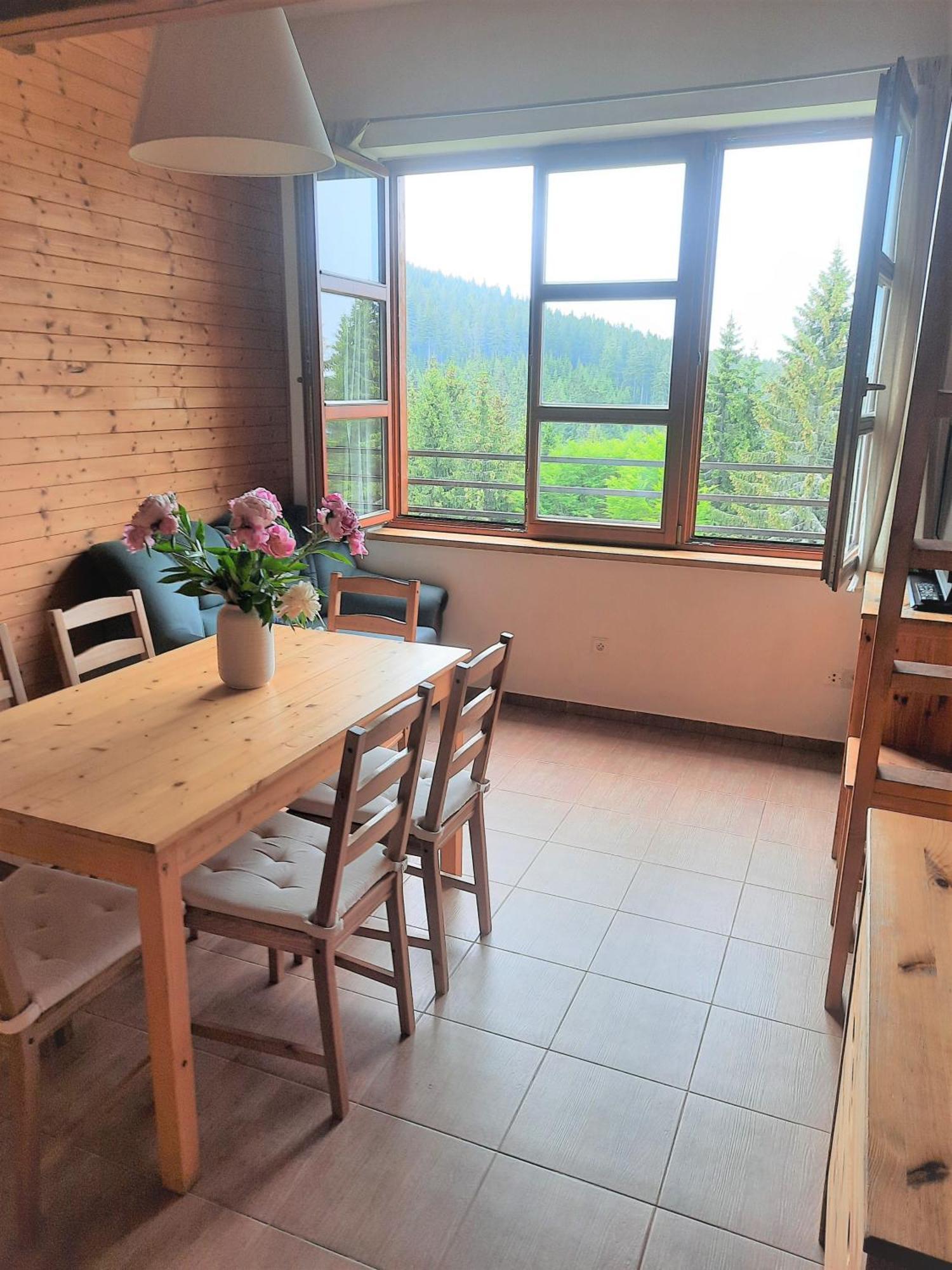 Apartment Velky Cihlarka Černý Důl